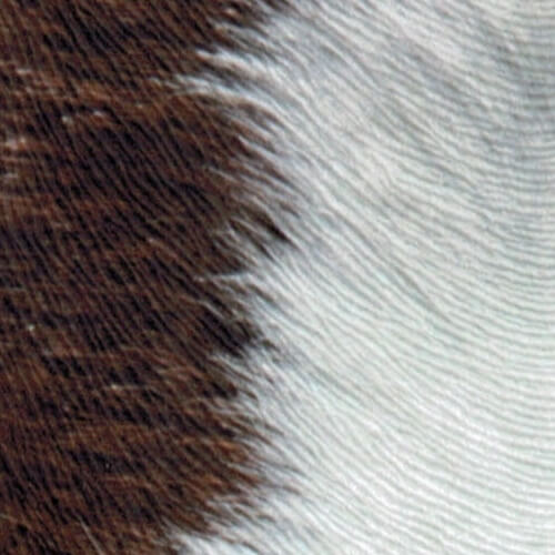 carre nature specialty printing paper