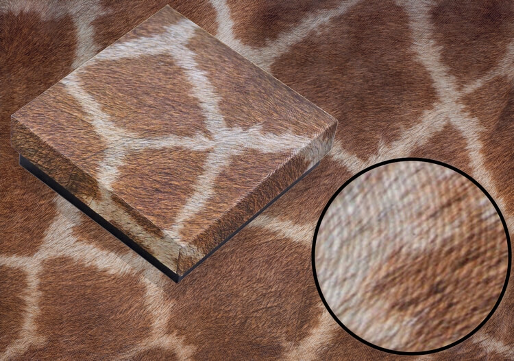 giraffe box gift box design